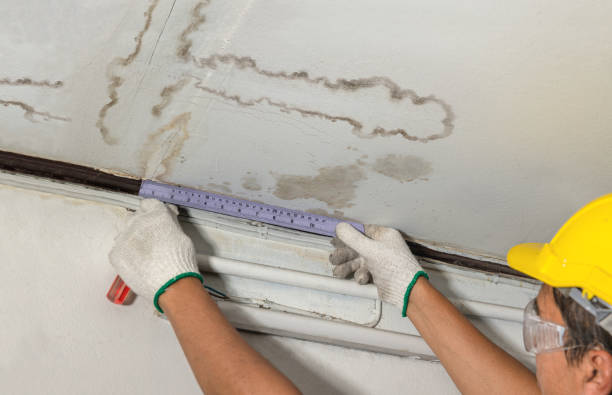 Affordable Basement Flood Cleanup solutions in Frenchboro, ME
